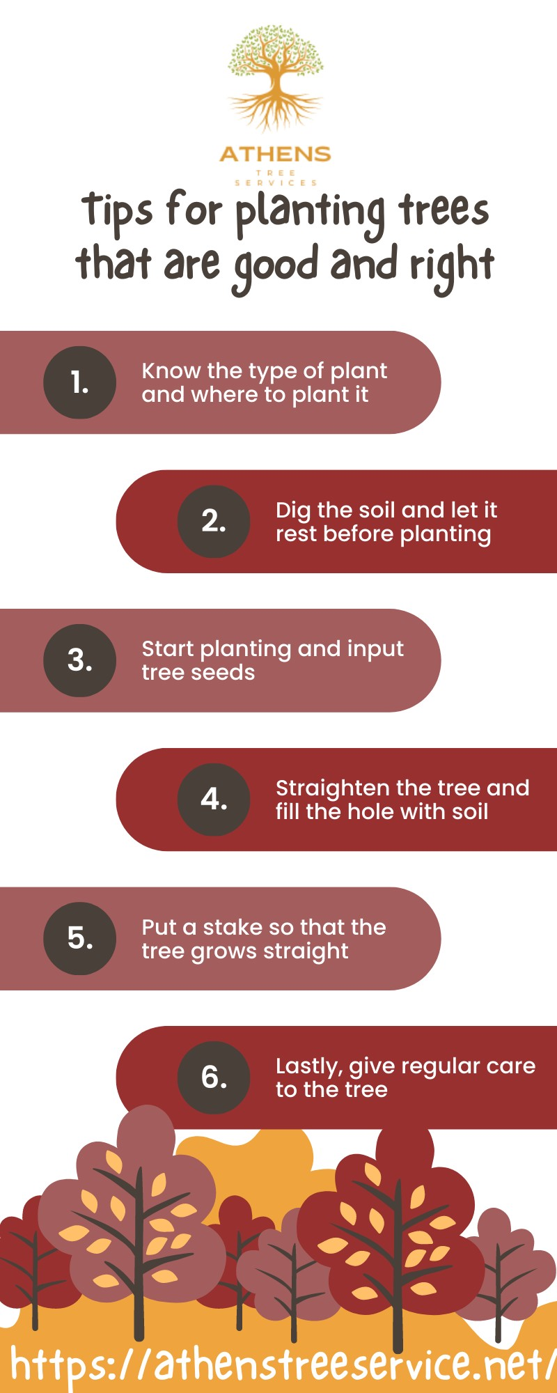 Tips for Planting Trees That are Good and Right [Infographic]